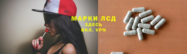 амф Алзамай