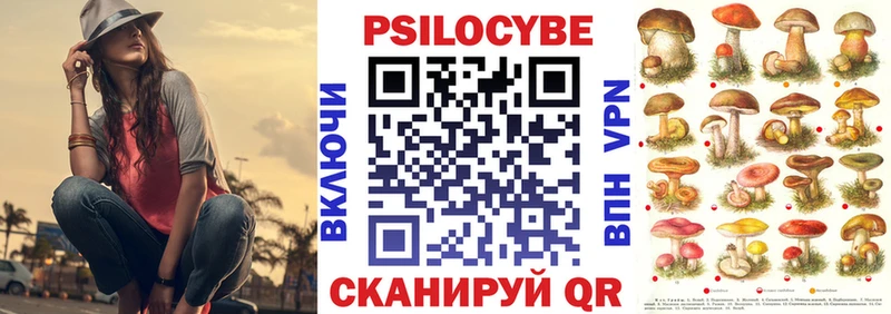 MEGA сайт  Арск  shop телеграм  где купить   Псилоцибиновые грибы Psilocybine cubensis 